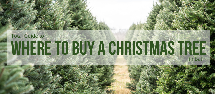 Where to Buy Christmas Trees in and around Bath | Real Christmas Trees ...