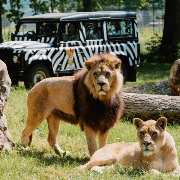 Longleat Safari Park