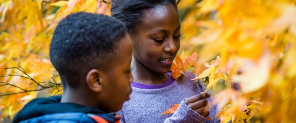 Autumn Family Trail - Tree Guardians