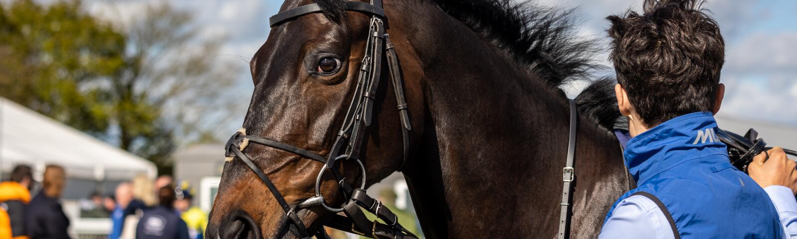 Bath Racecourse