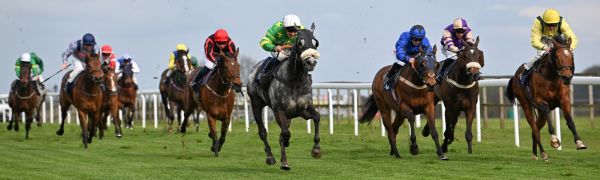 Bath Racecourse