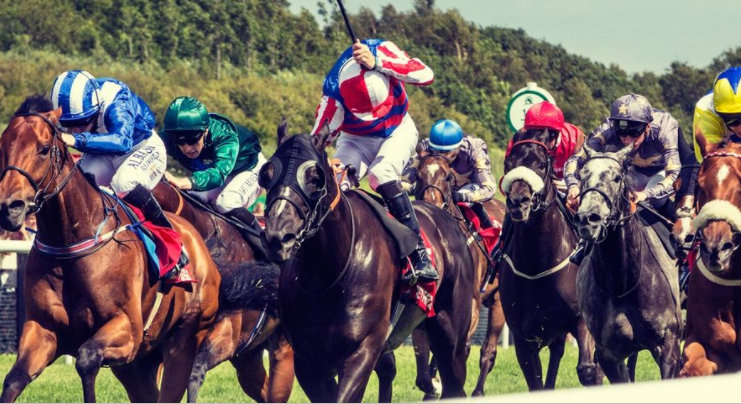 Summer Afternoon Racing