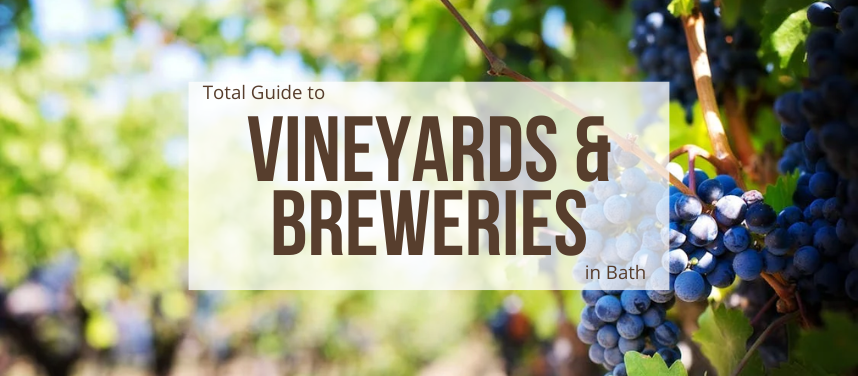 Vineyards & Breweries