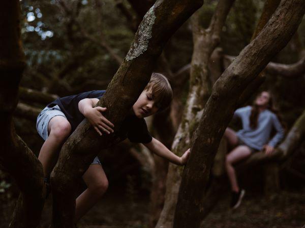 Woodland Family Morning in Bath