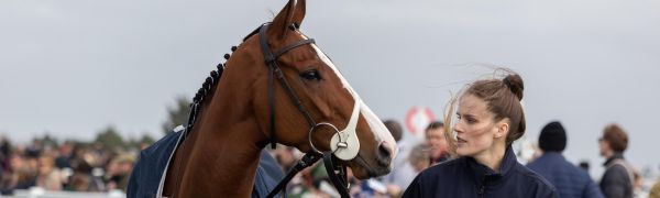 Bath Racecourse