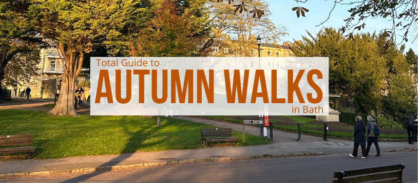 Promo Banner: Autumn Walks